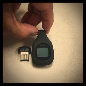 Fitbit (ZIP) Perdomitor